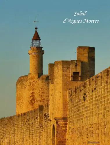 Locations soleil dAigues Mortes