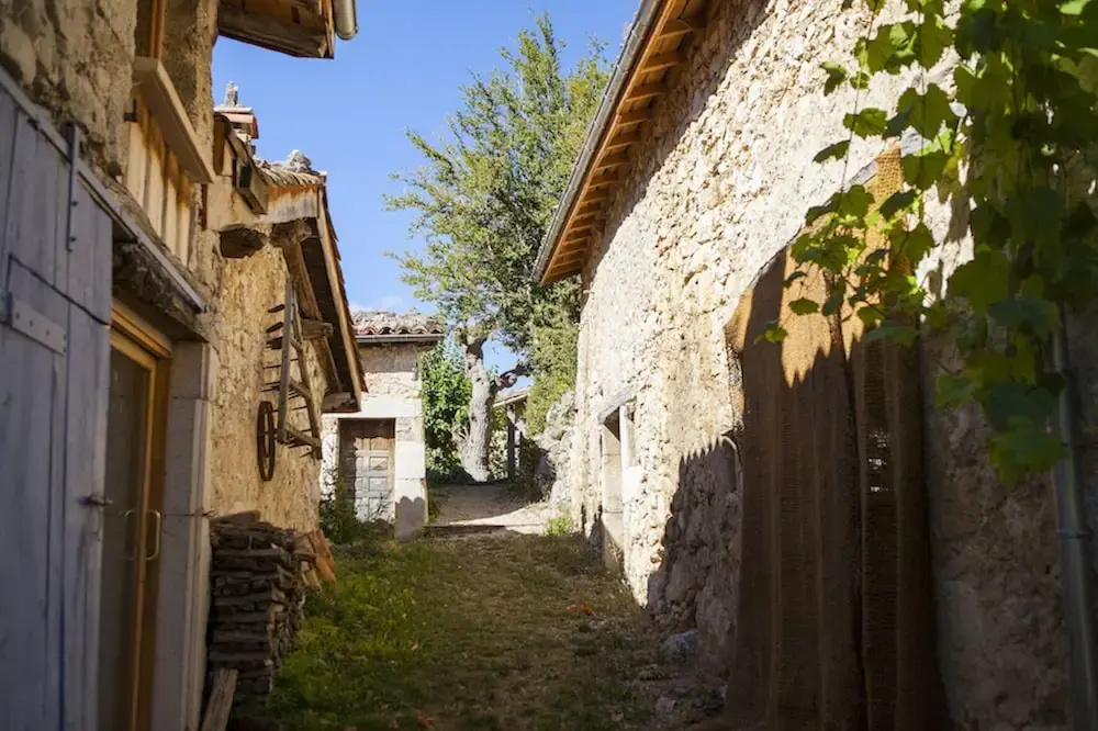 Cellier
