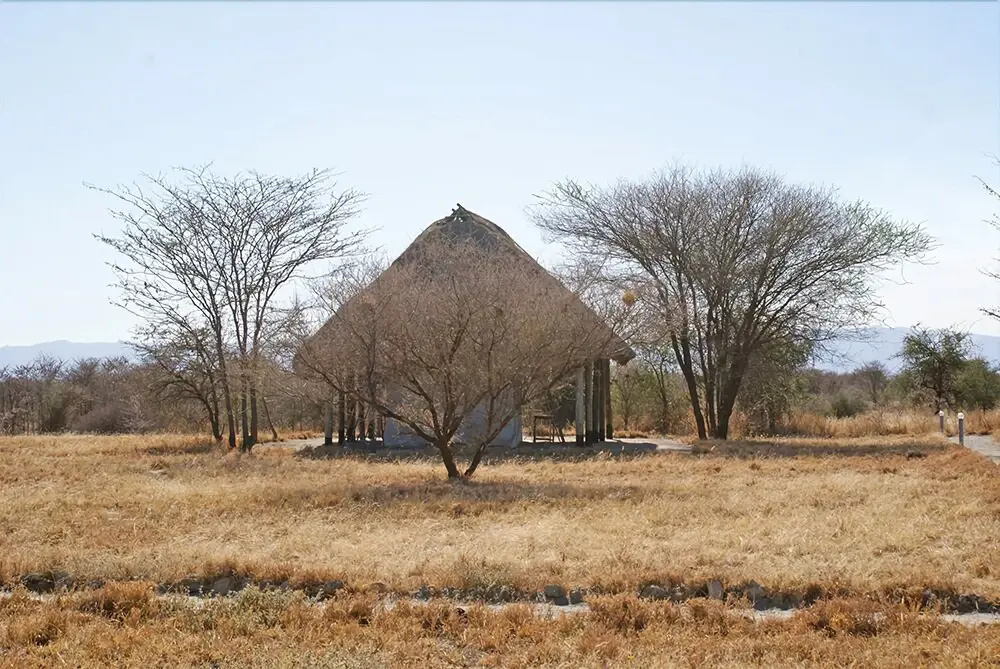Whistling Thorn Tented Camp