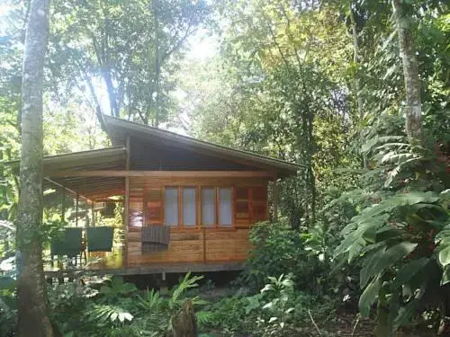 El Tucan Jungle Lodge