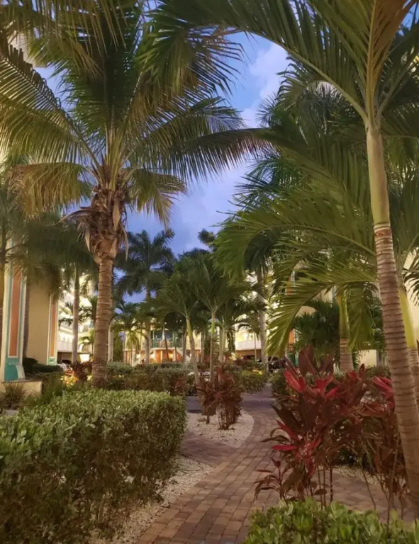 Sunset Vistas Two Bedroom Beachfront Suites