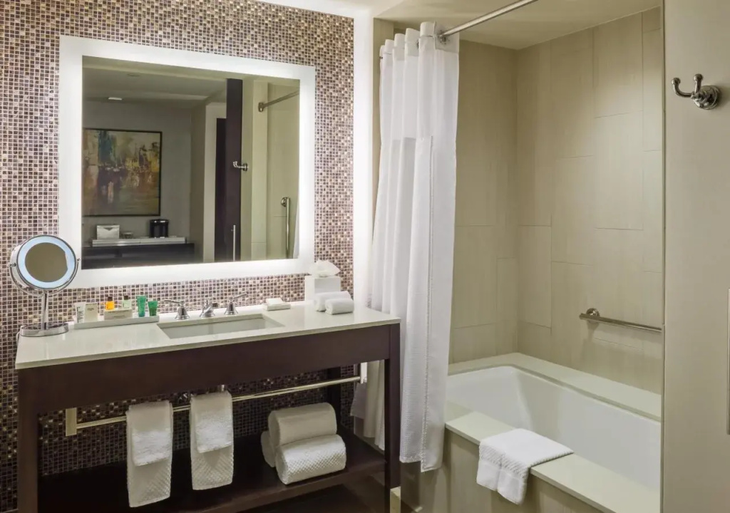 Hilton Dallas/Plano Granite Park