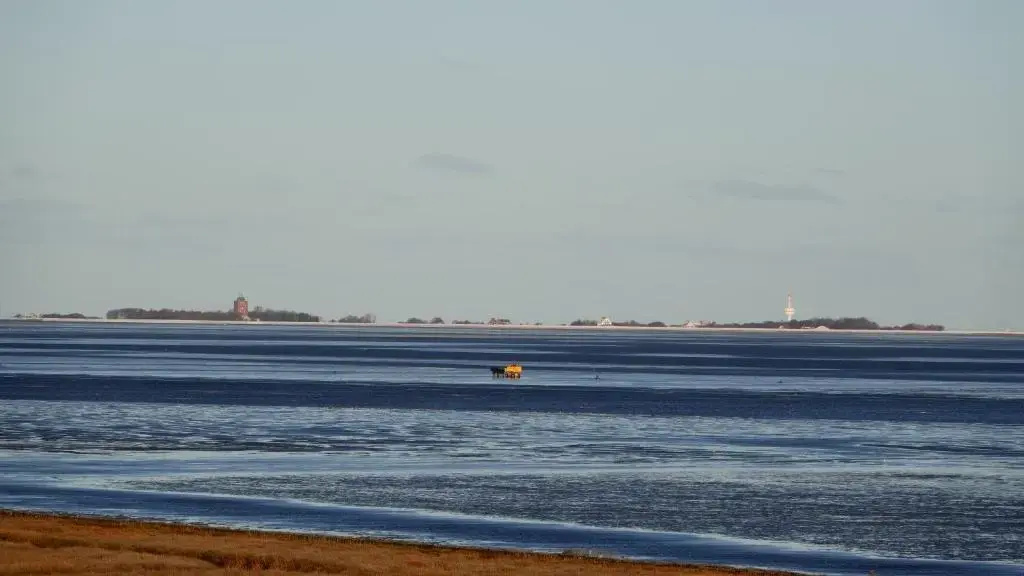 Whg 11 im Haus Nordseeperle - gemütliche Ferienwohnung in direkter Strandlage mit Meerblick