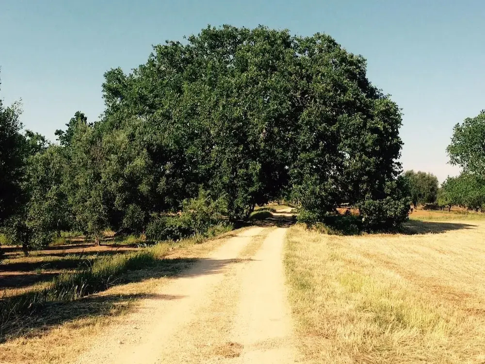 Le Corti di Begio