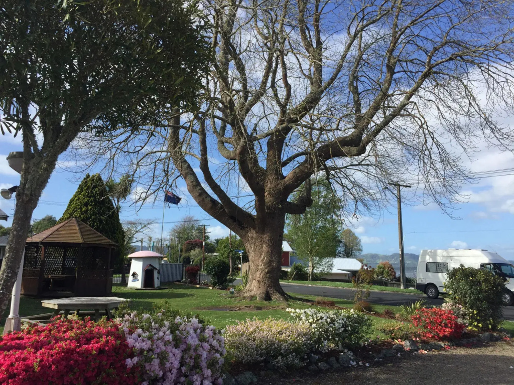 Jack & Di's Waiteti Lakefront Motel