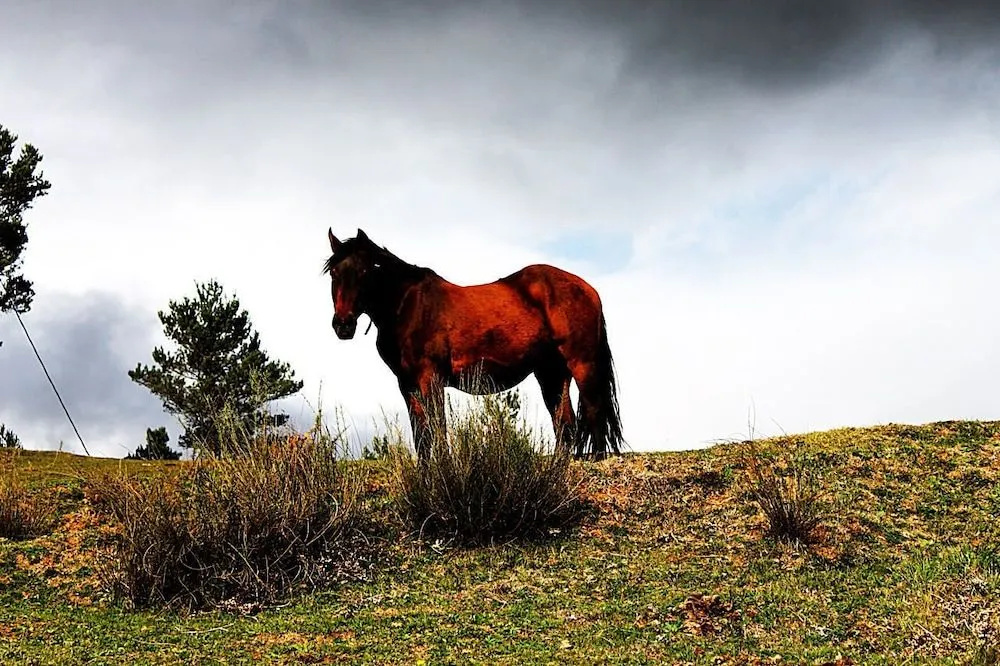 Turisme Rural El Janpere
