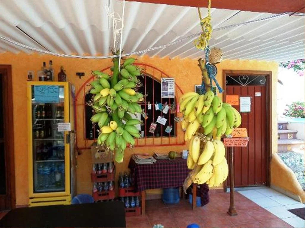 Hotelito Swiss Oasis