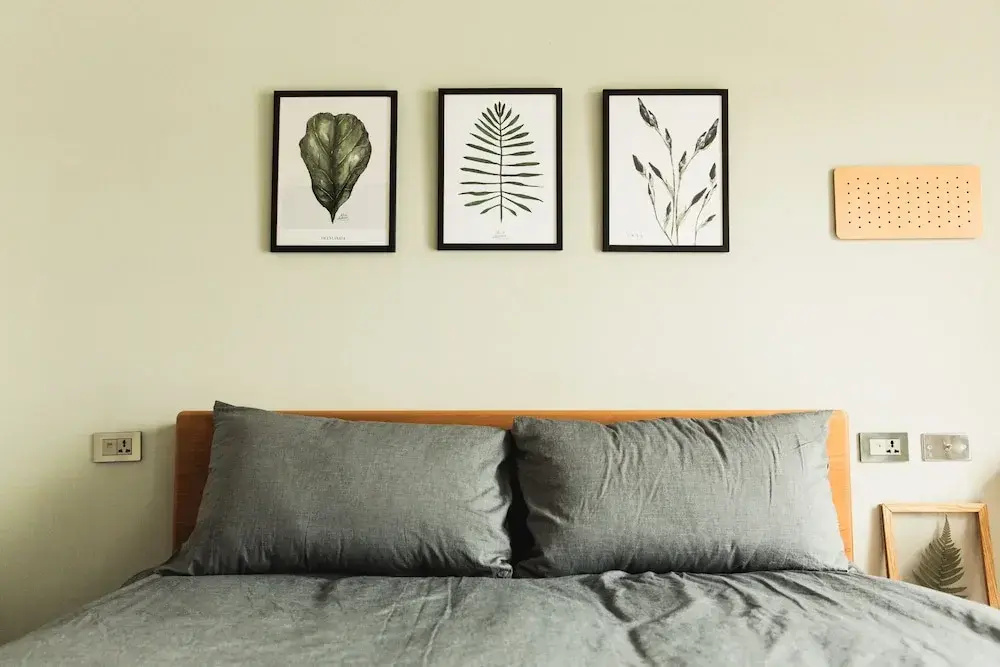 Boy apartment -Adult only