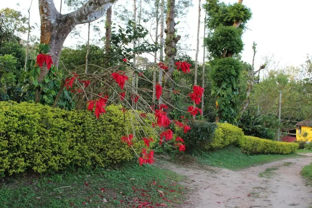 Guddadamane Homestay