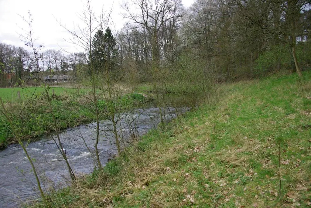 erve Hanebulten