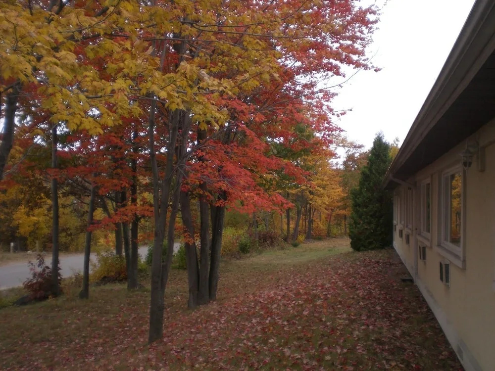 Auberge Eldo Inn