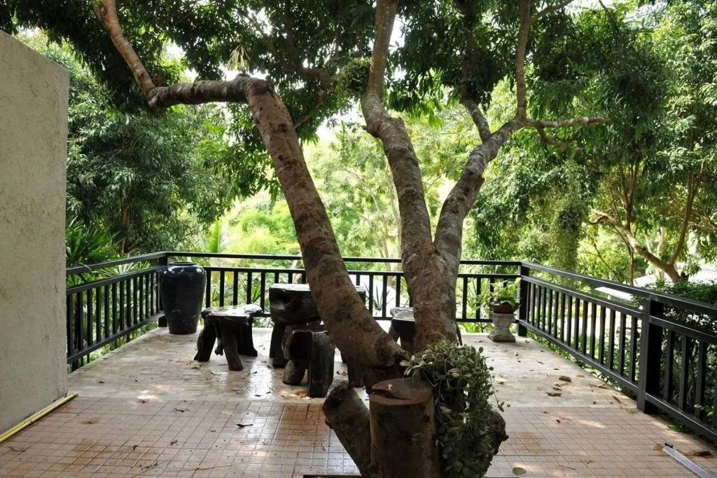 Silver Garden Resort