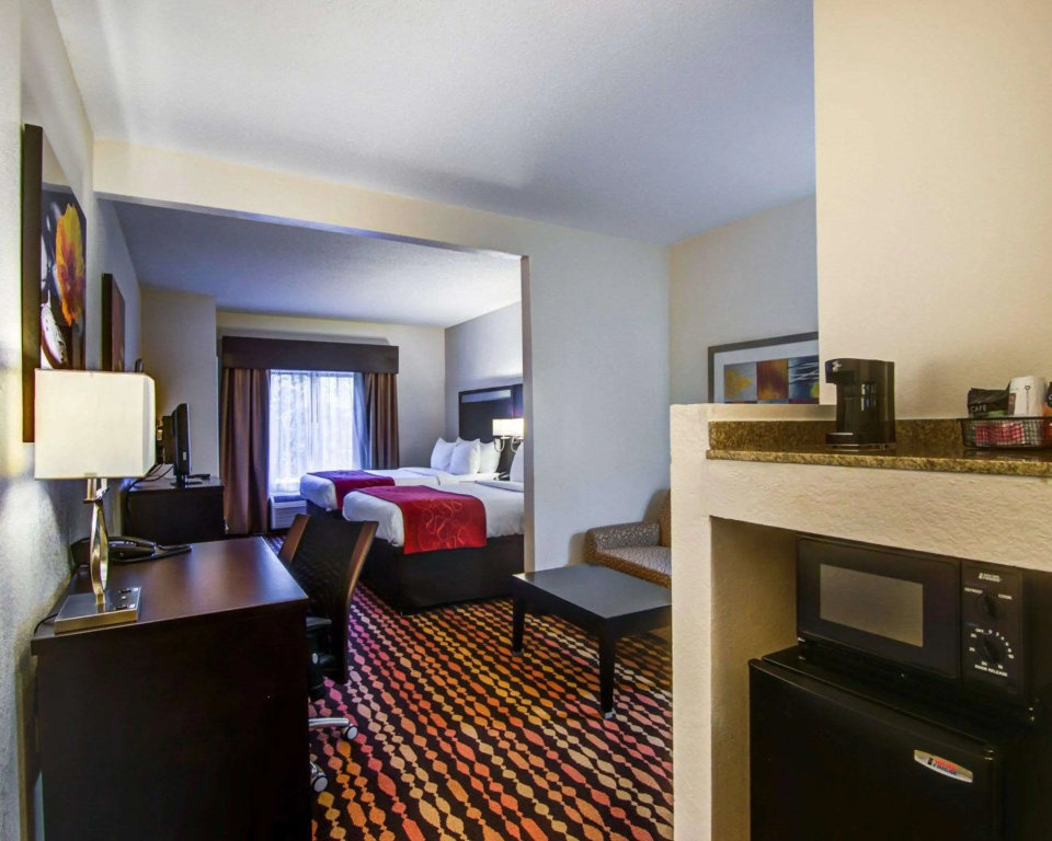 Comfort Suites Northside Hospital Gwinnett