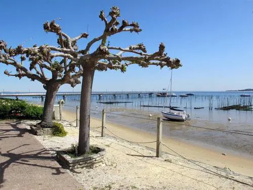 Estivel - Cap Ferret - T2 Duplex 2/4 Pax