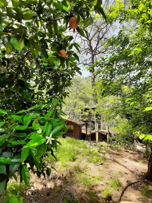 Altaris Bungalows Olympos