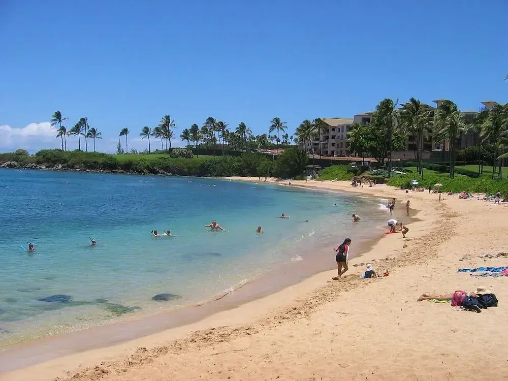 South Maui Luxury Rentals