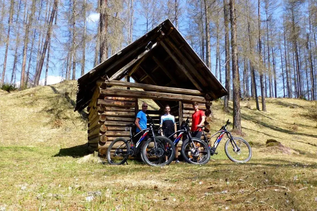 Alpenhof Wohlfühlpension