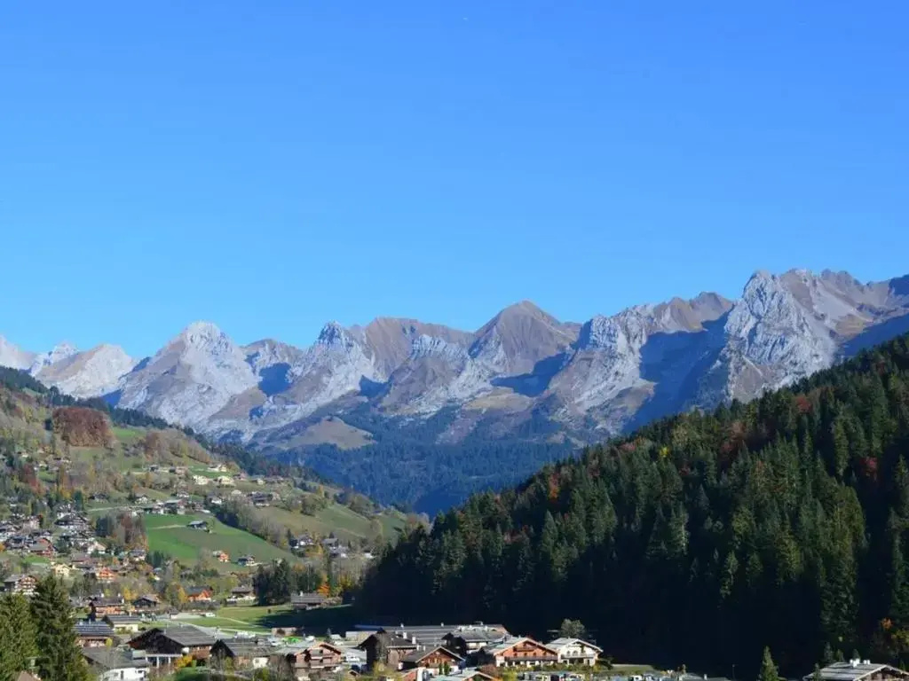 Appartement Le Grand-Bornand, 2 pièces, 5 personnes - FR-1-241-85