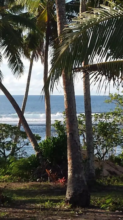Teukava Beach Oasis