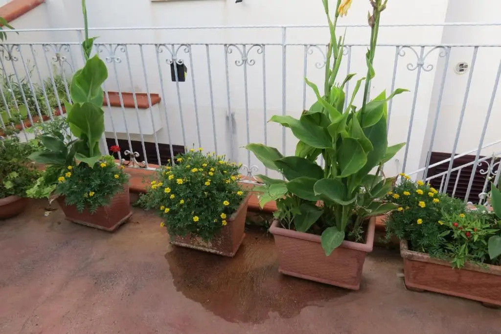 Il Roseto di Betty Appartamento in villa S1