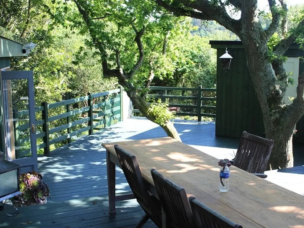 Holly Oak Sanctuary