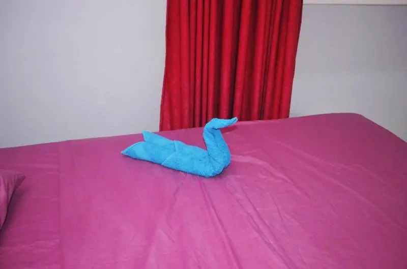 Hermina Guest House