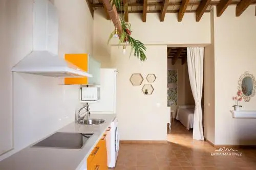Apartamentos Silos