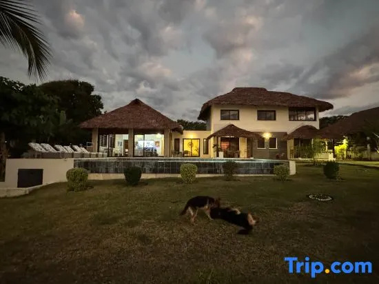Oceanfront Luxury Villa with Private Pool