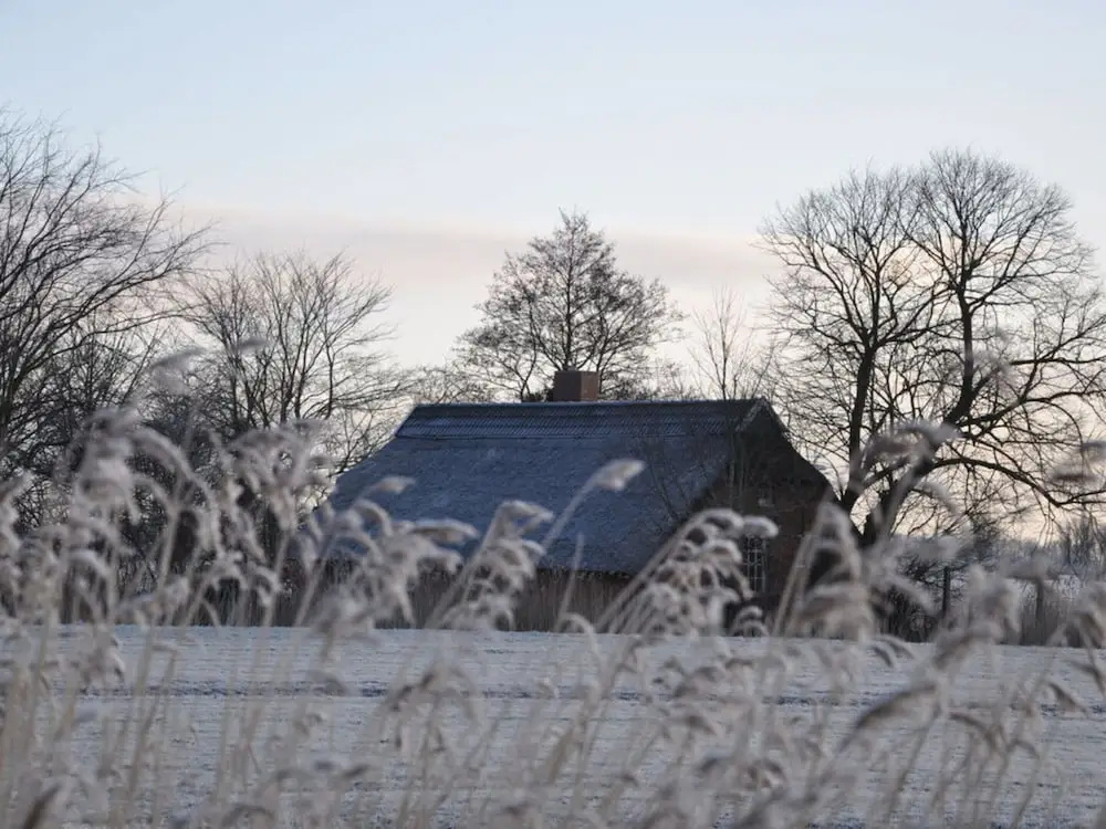 Thatchdachkate Sillenserwisch