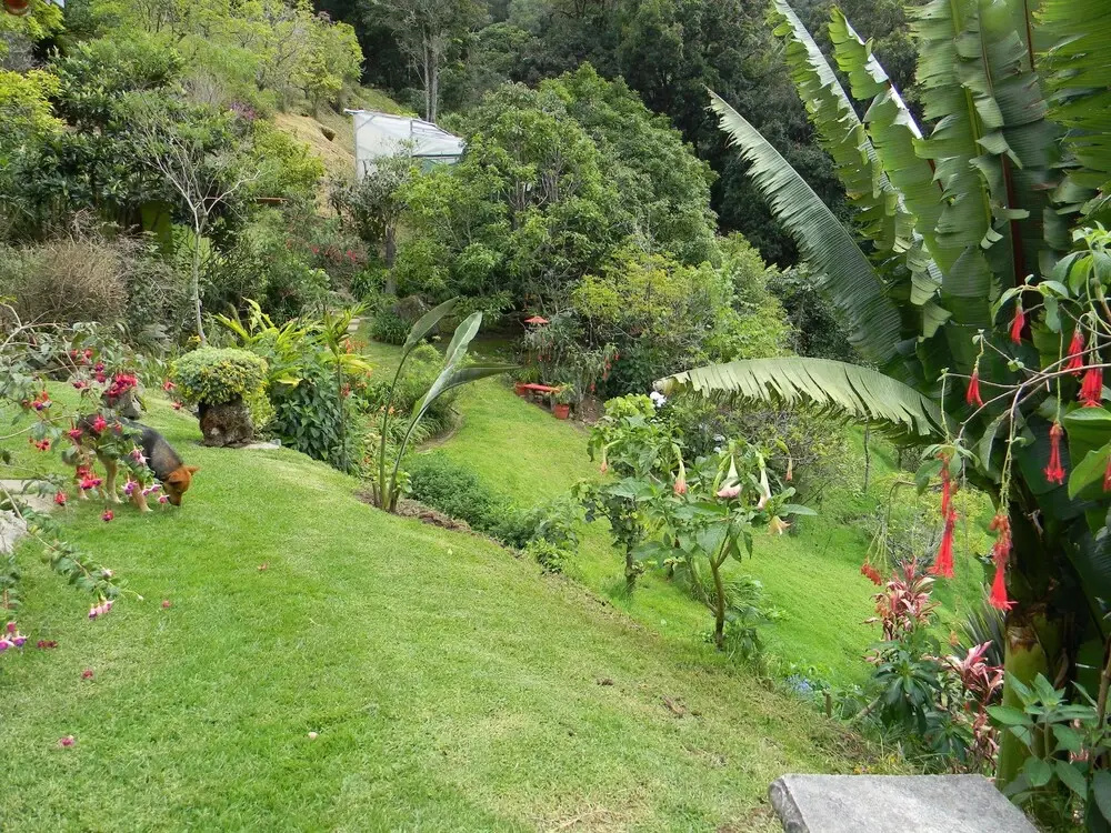 Casa San Rafael del Pedregolso