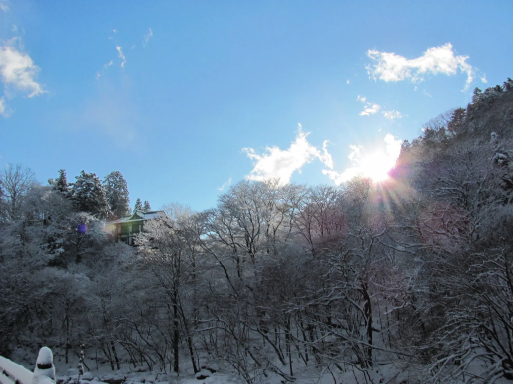 Guest House Koundo