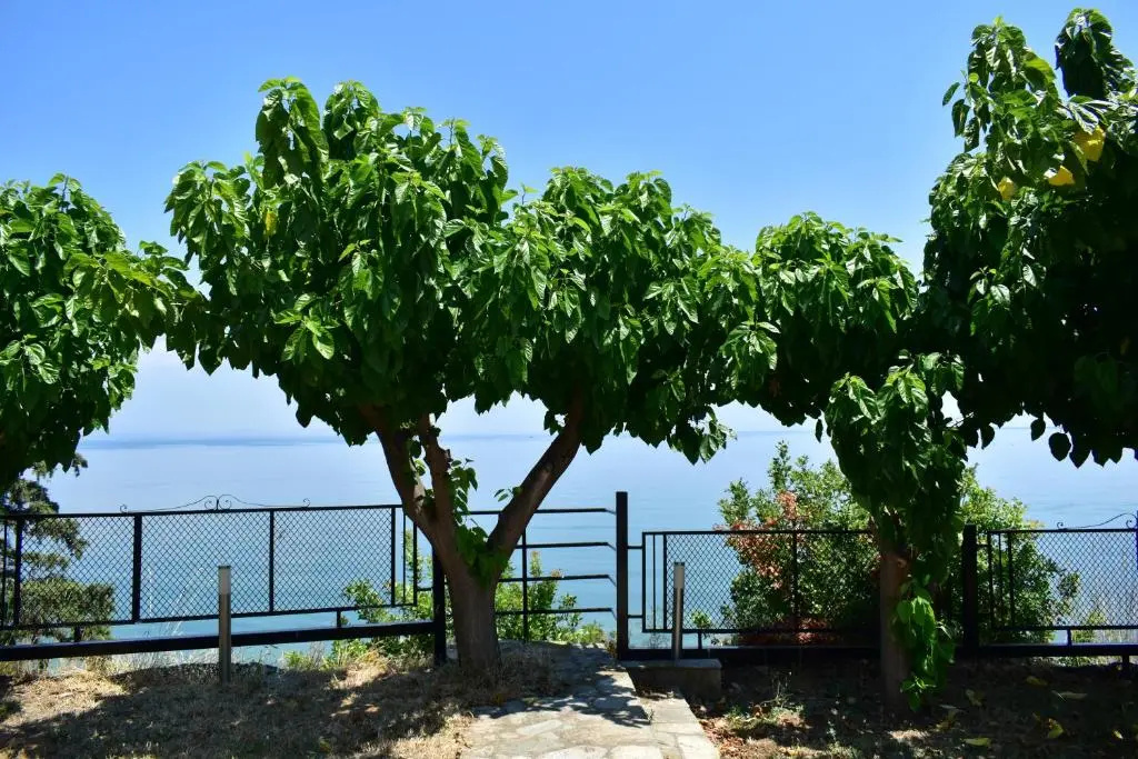 White Clam Vintage House with sea view & garden