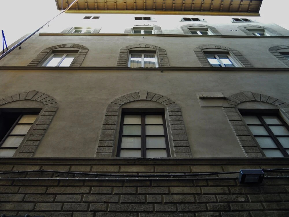 Olga's House