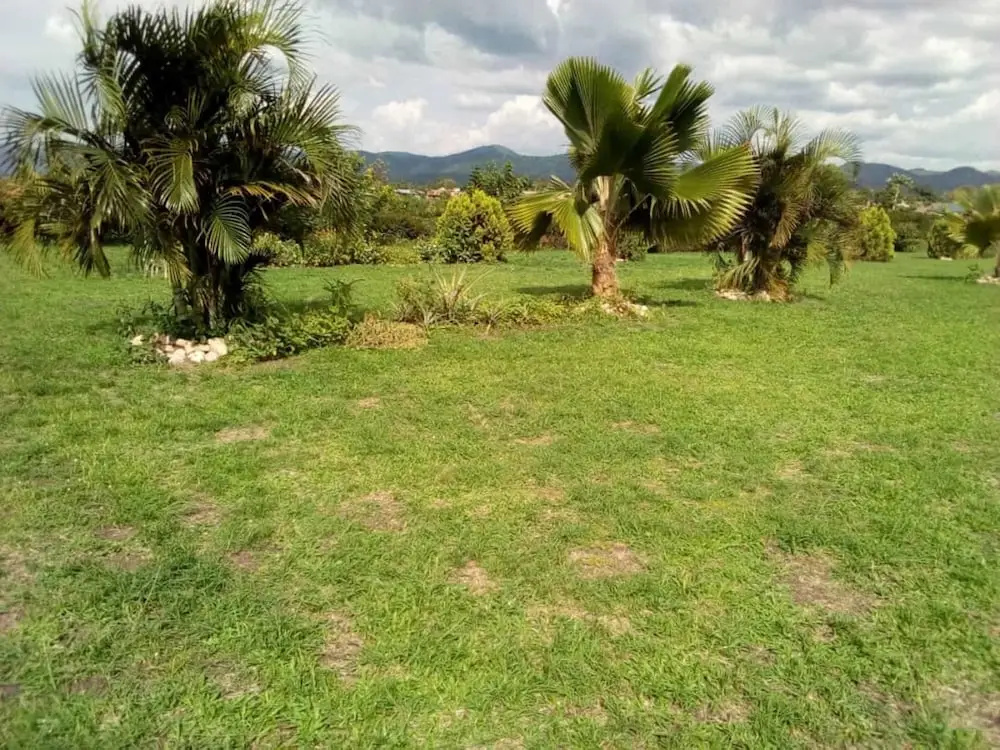 Marianah Tourist Hotel