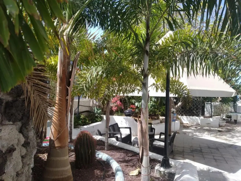 Hotel Ponderosa