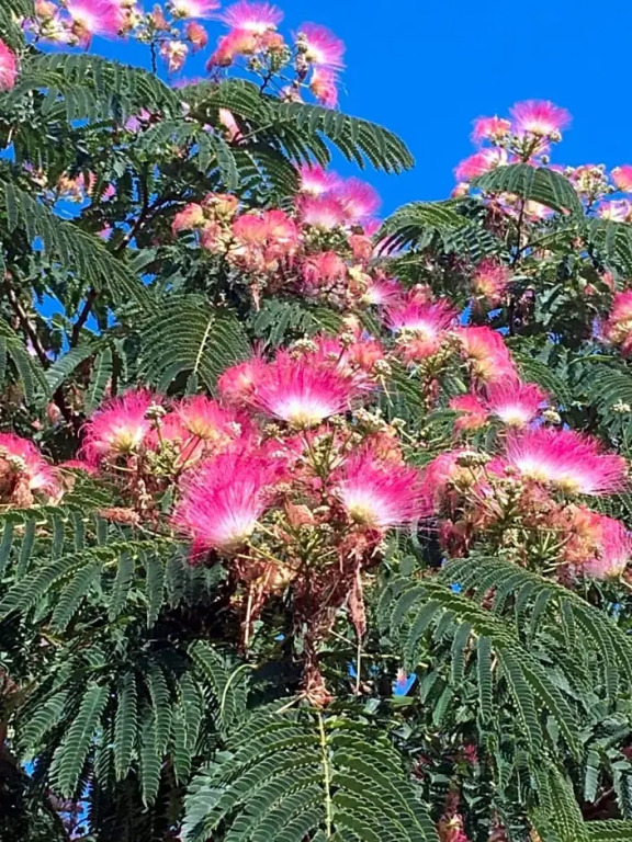 La Bastide des Cades