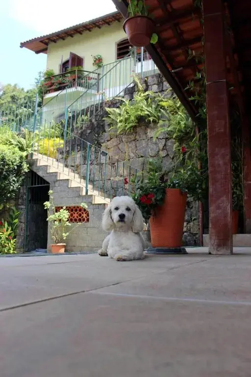 Sweet Rio Residence Taquara