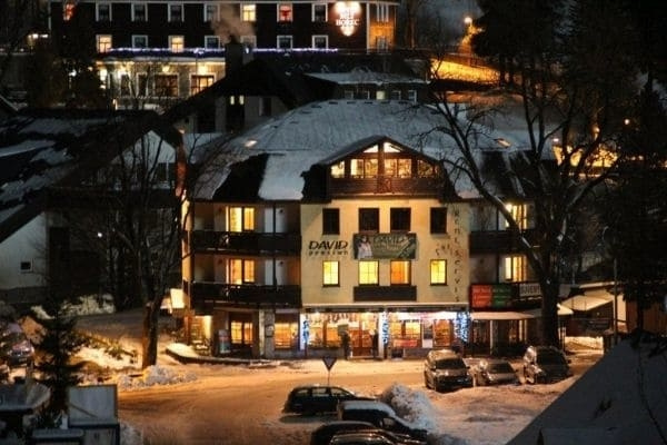 David Wellness Hotel