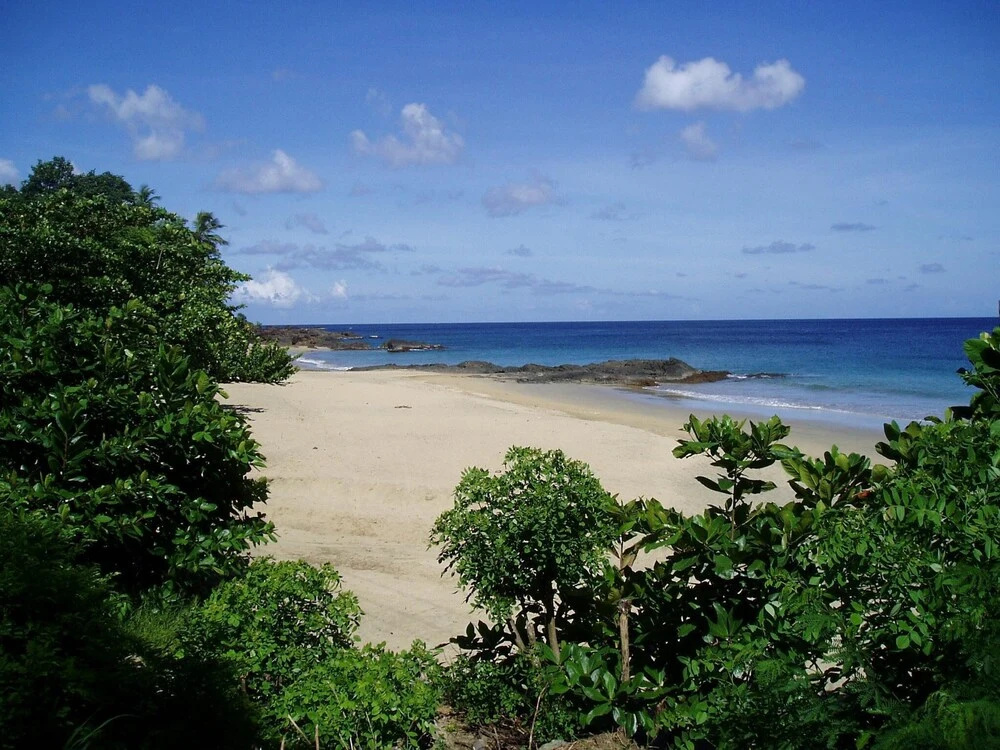 Sungold House Barbados