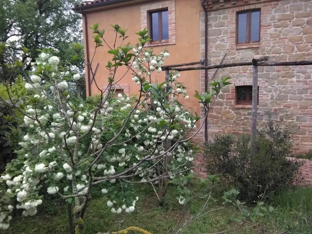 Terra di Magie