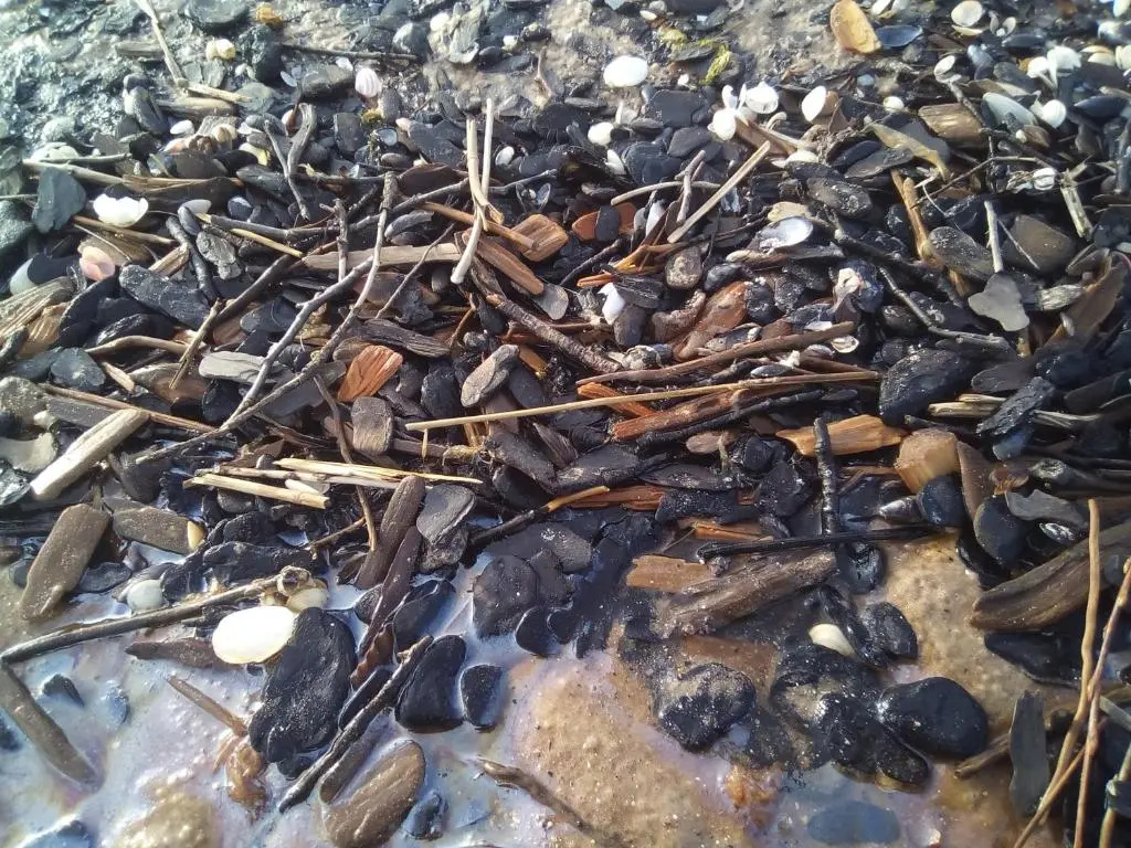 Pie Andra Pitragā