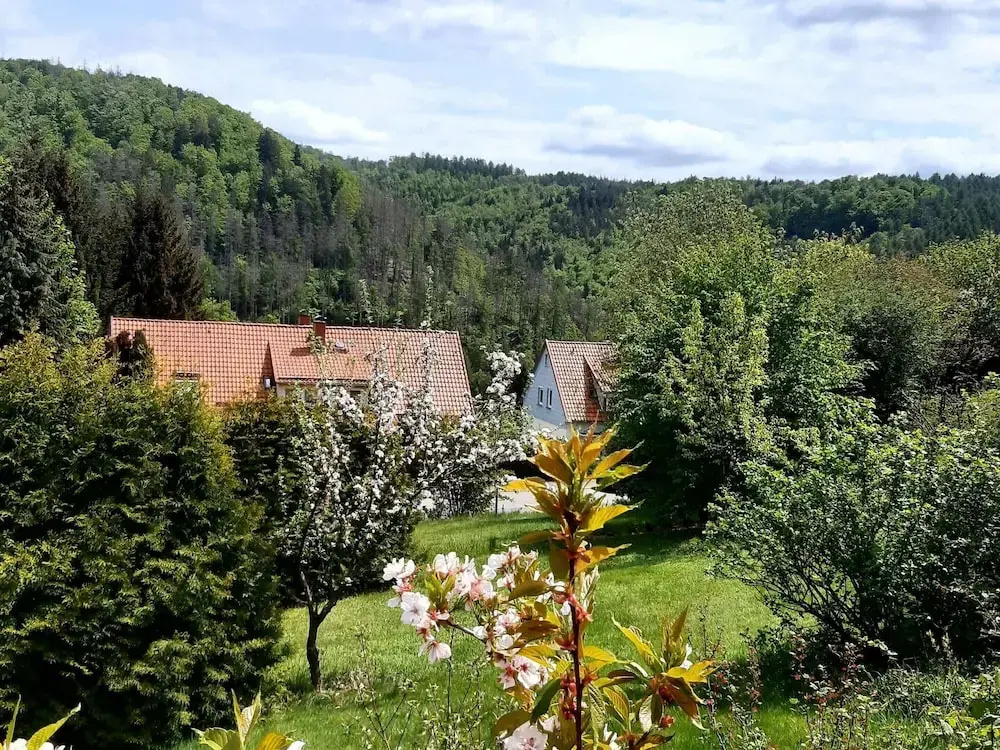Ferienhaus im Harz mit Wanderwegen
