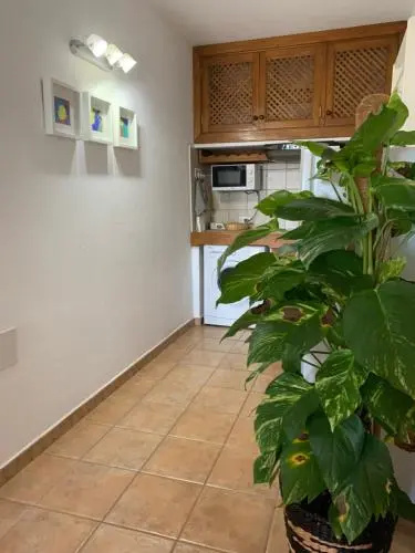Apartamento La Finca
