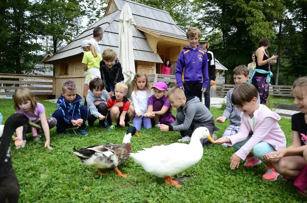 Slovenia Eco resort