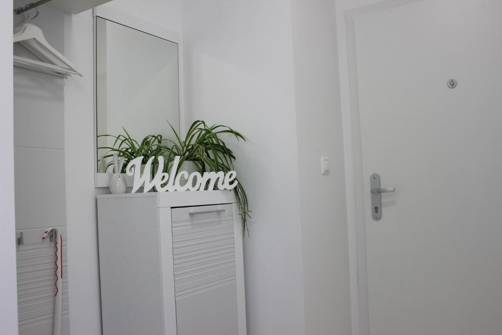 LEO Apartment FREE PARKING - Augusta