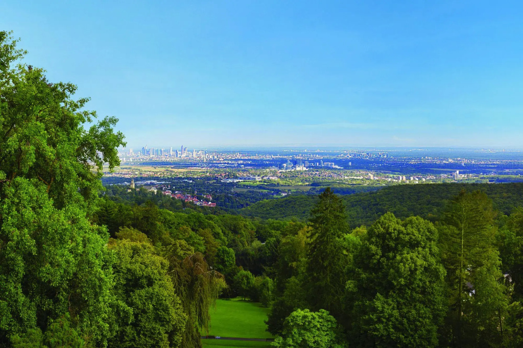 Falkenstein Grand, Autograph Collection
