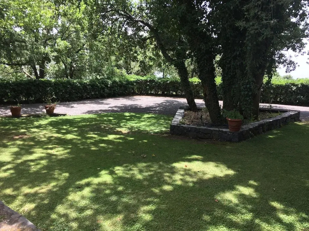 Domus Verdiana