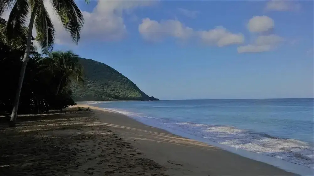 CaraibBay Hotel