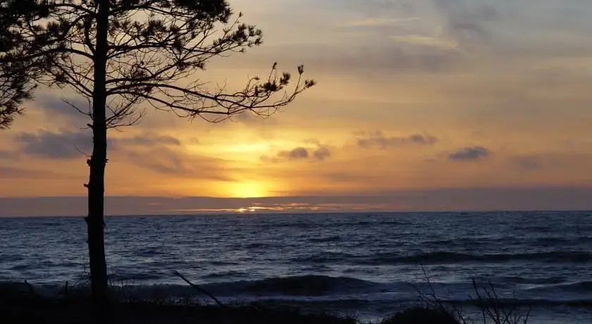 BienPalanga