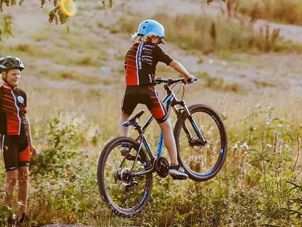 6 Person Holiday Home in Virserum